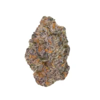 Apple Fritter Strain kaufen