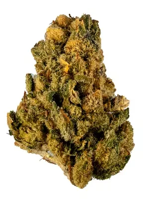 Dog walker OG