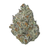 Ice Cream Cake Strain kaufen
