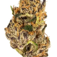 London Pound Cake Strain kaufen