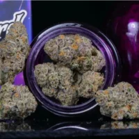 Wizard Trees Black Magic