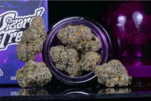 Wizard Trees Black Magic