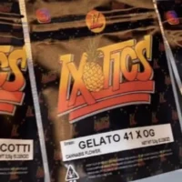 LXOTICS Kaufen