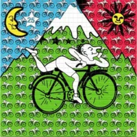 1T LSD